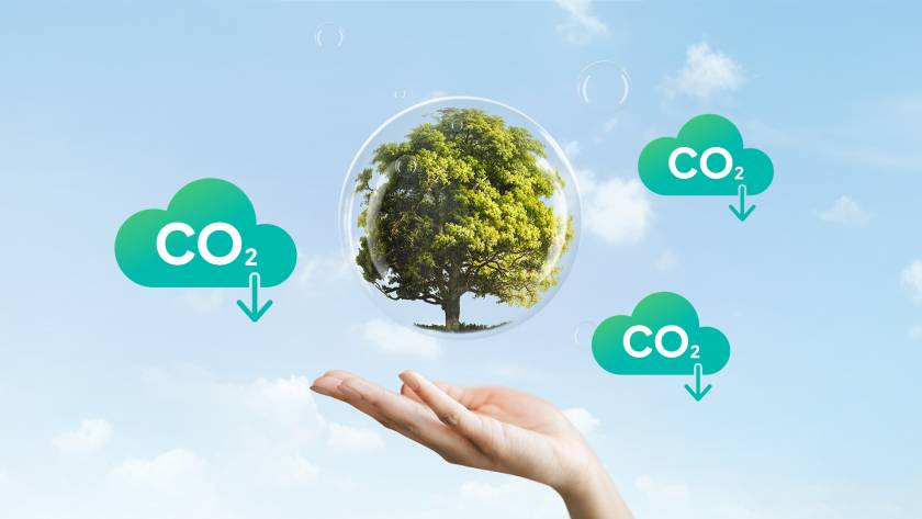 ways to reduce carbon