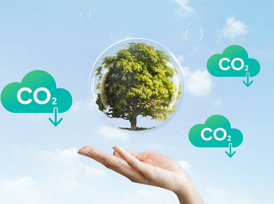 how to reduce carbon