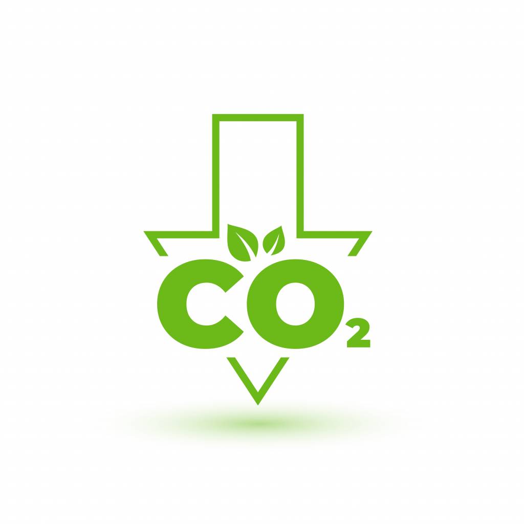 Carbon Footprint